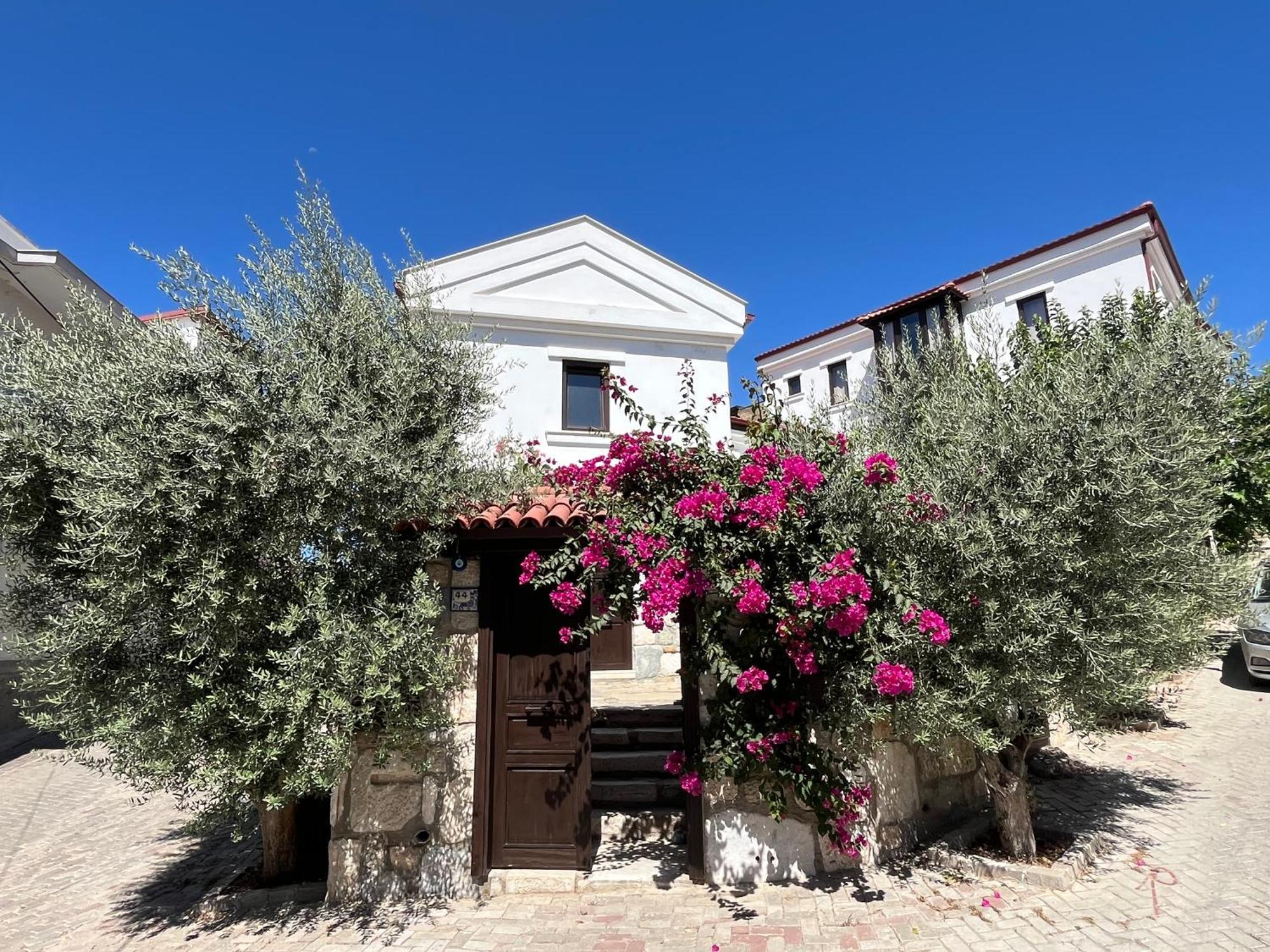 Agon Ephesus Hotel Selçuk Ngoại thất bức ảnh